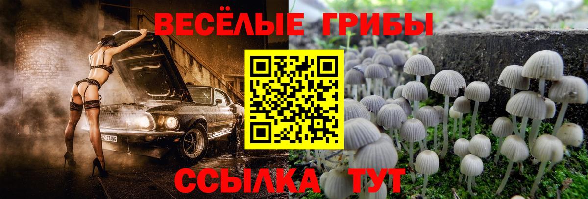 Егорьевск  Псилоцибиновые грибы MAGIC MUSHROOMS  купить закладку  Вход с VPN 
